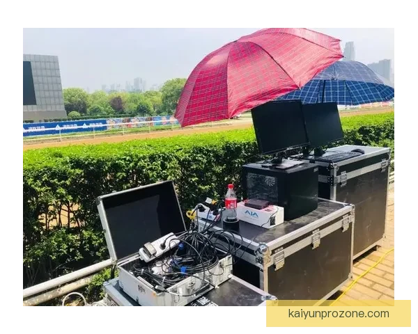 开云体育入口全新体验指南助你轻松畅享运动世界